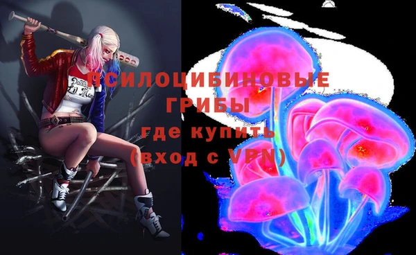 спиды Алексин